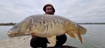 les-erables-etang-peche-rumilly-15